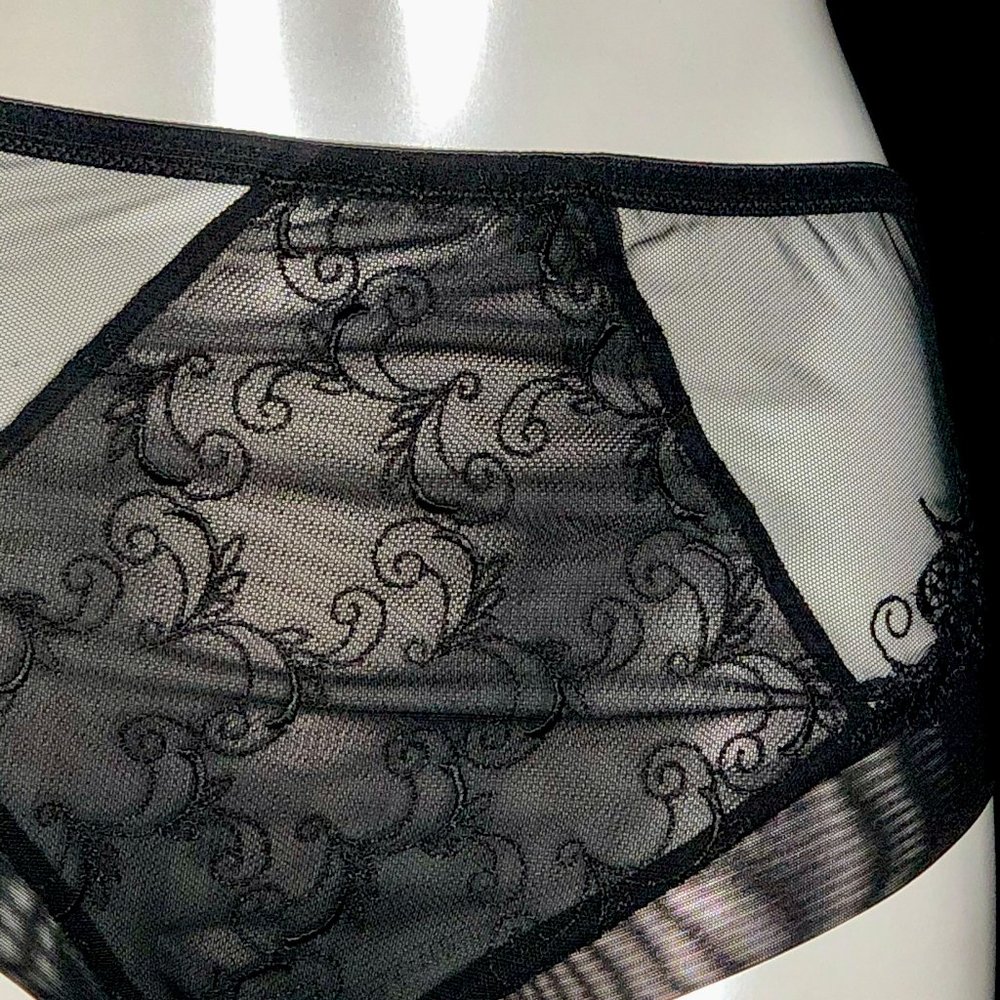 LISE CHARMEL LACE BRIEF - BLACK - Picture 5 of 5